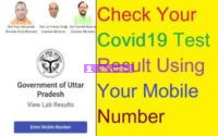 UP Covid Report Online
